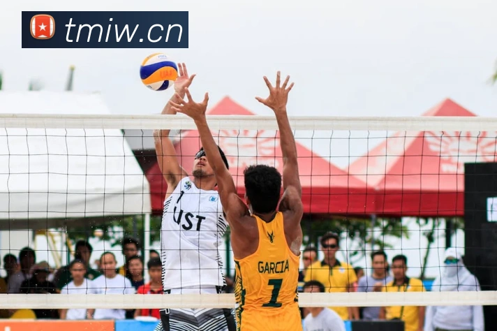 米兰app登陆入口平台生态图