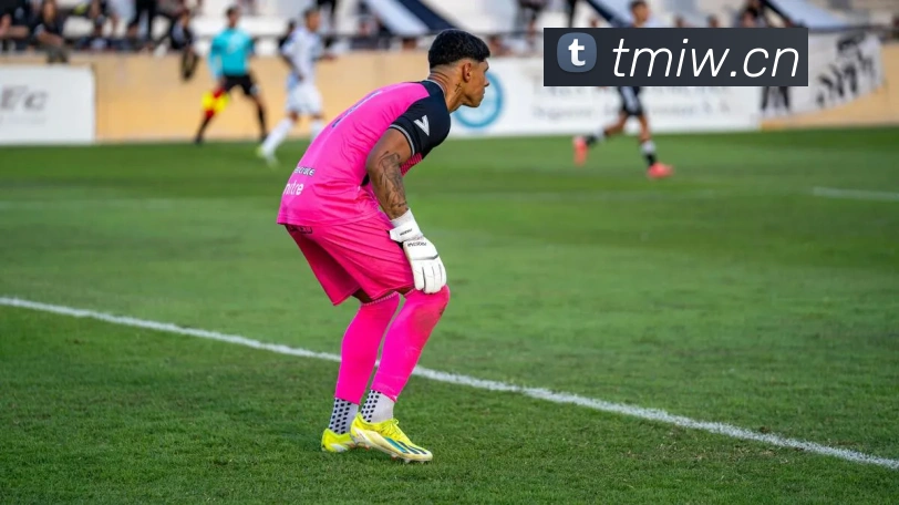 米兰app登陆入口全站App